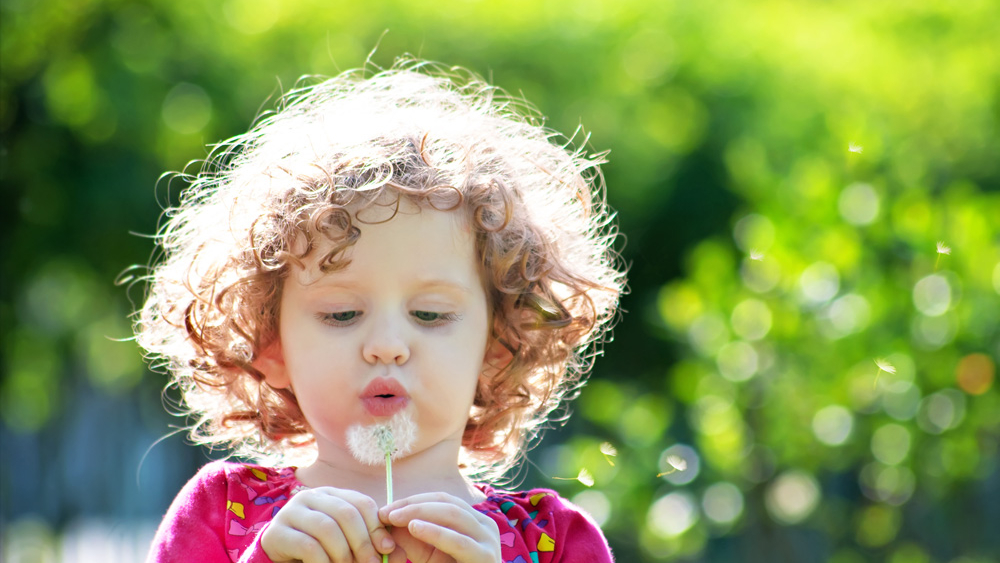 Buds, Blooms and Allergies