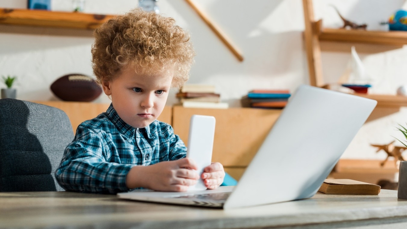 Distance Learning and Vision Problems