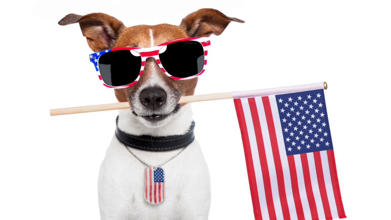 Depositphotos_11078435_S