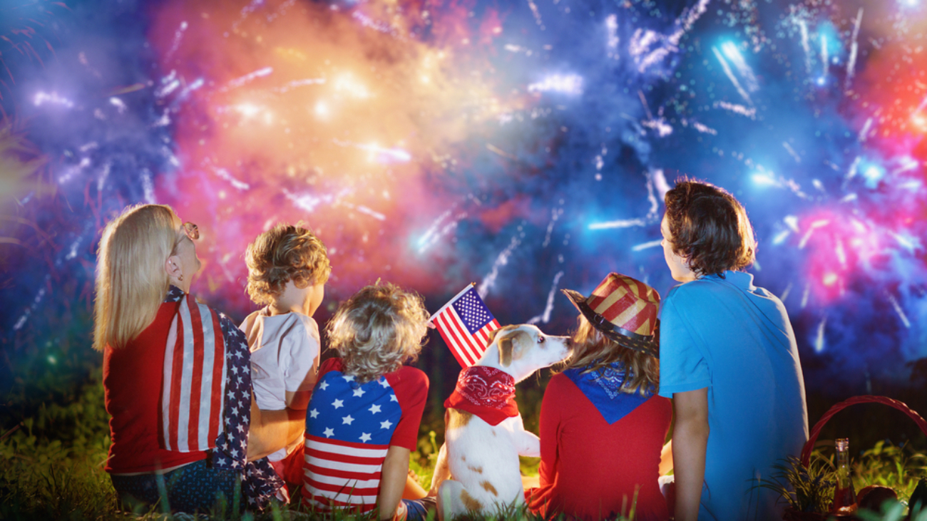 Fireworks safety - American family celebrating Independence Day. Picnic and fireworks on 4th of July - children sitting on ground watching fireworks celebration in big blue sky.
