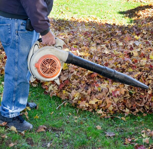 green lawn with pile of fall leaves and individual with leaf blower