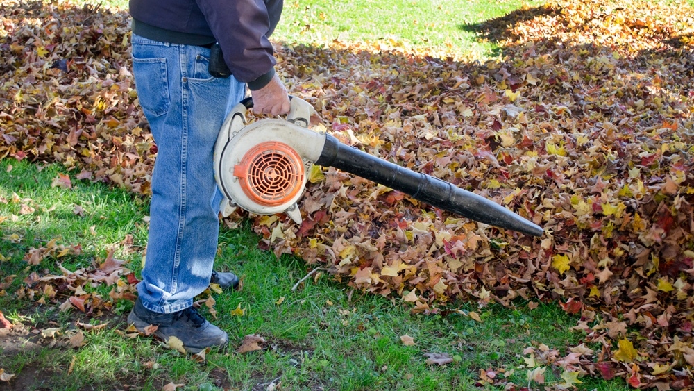 Fall-Eye-Safety